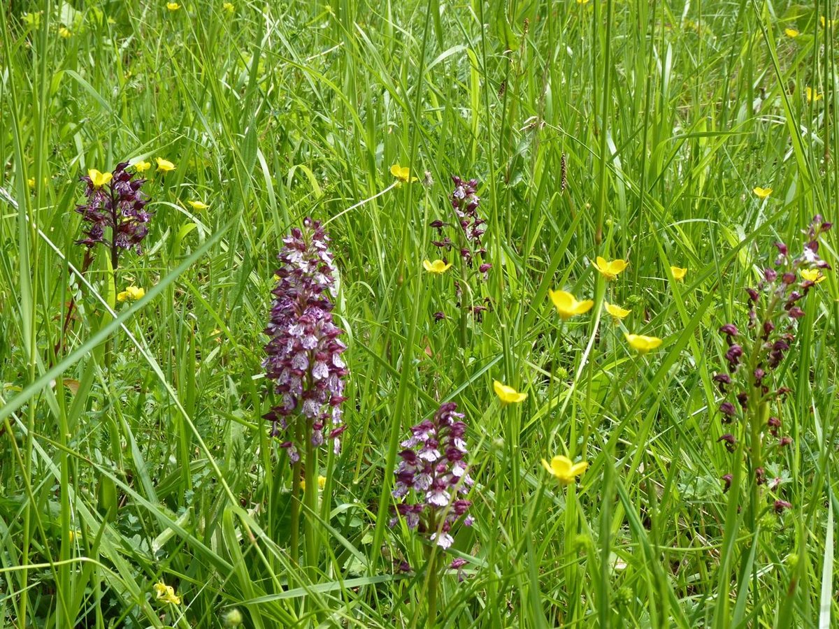 1771786847369 6l9oxp